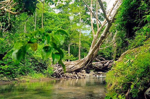 Wisata Alam Semongkat