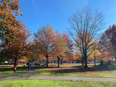 Red Sunset Park