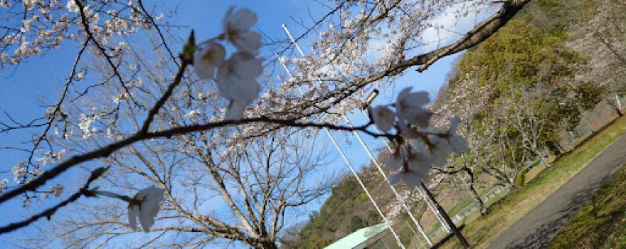 Tobecho Tokaidoyutori Park