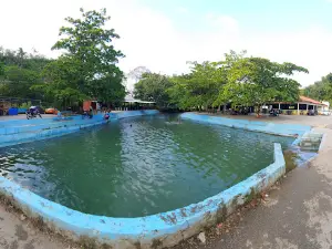 La poza de guaraguao