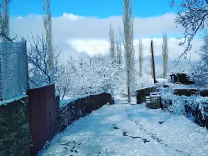 Tlyakh