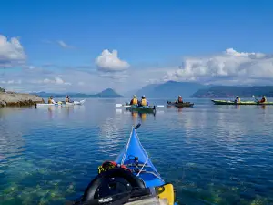 Powell River Sea Kayak Ltd.