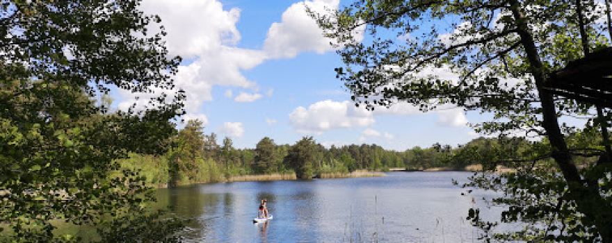 Wald- und Naturcampingplatz am Tonsee Süd & Yoga