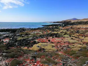 Reserva Natural Punta Mazo
