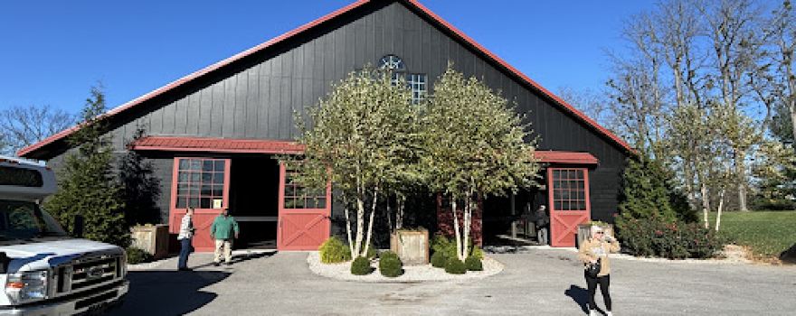 Unique Horse Farm Tours