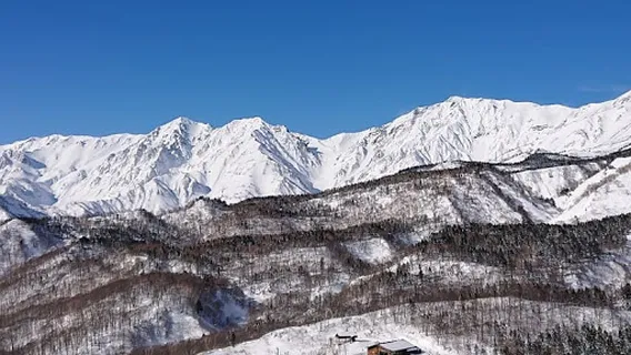 Tsugaike Kogen Champion Slope