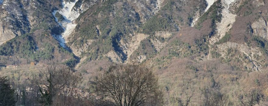 Foresta di Frisanco