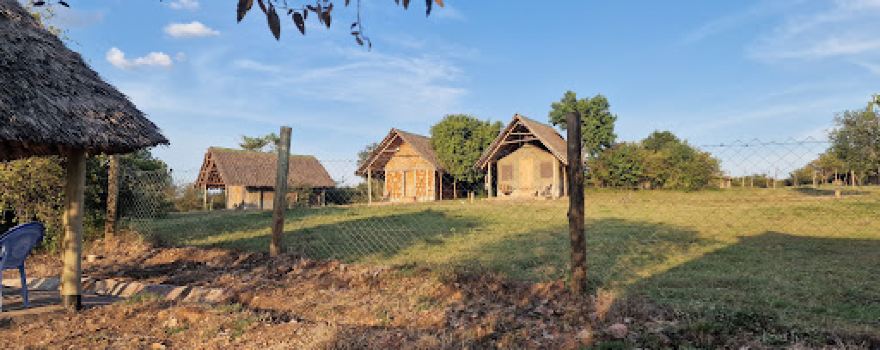 Orngatuny Mara King Camp