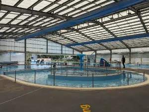Junee Recreation & Aquatic Centre