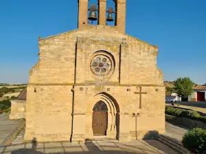 Reserva natural de las Riberas de Castronuño-Vega del Duero