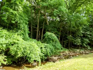 Hollow Park