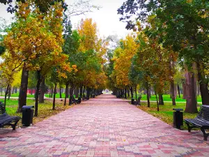 Hdantsivsʹkyy Park