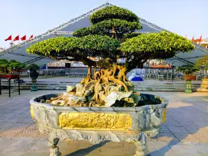Phuc Yen Town Square