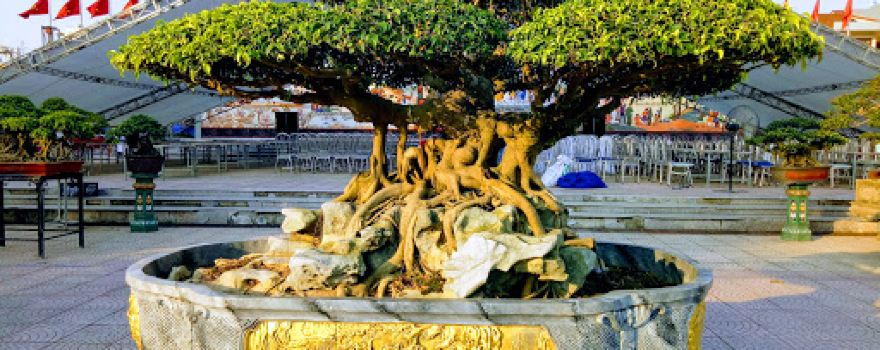 Phuc Yen Town Square