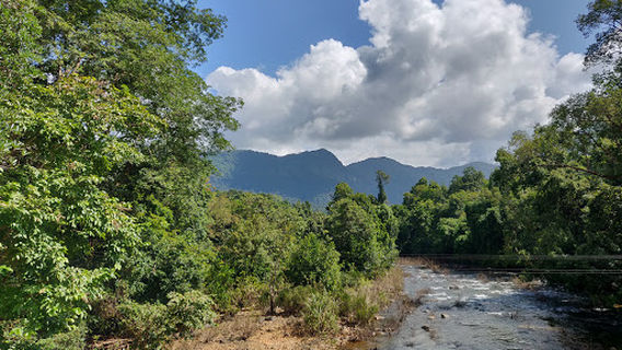 Someshwara Wildlife Sanctuary