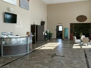 World Harvest Church