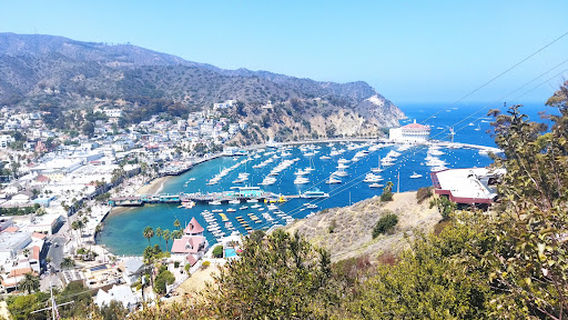 Avalon