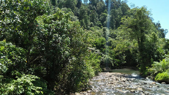 Air Terjun Sikiai