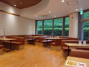 Koyama Onsen Dome