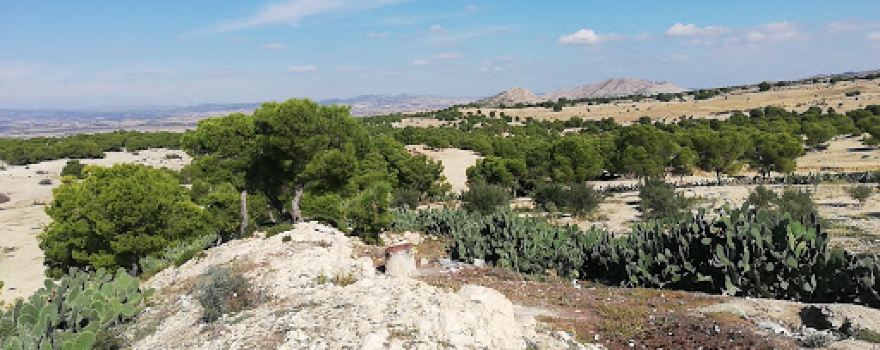 ZAGHDOUD