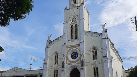 Cel square. David Batista