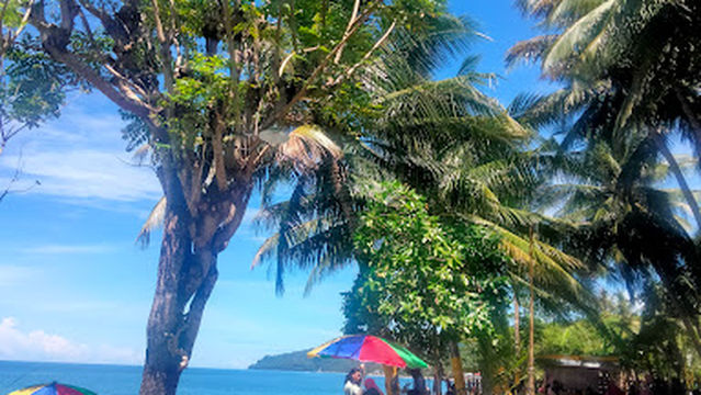 Pantai Mapane Bambu Kuning