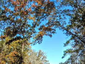 Lake Sinclair Recreation Area