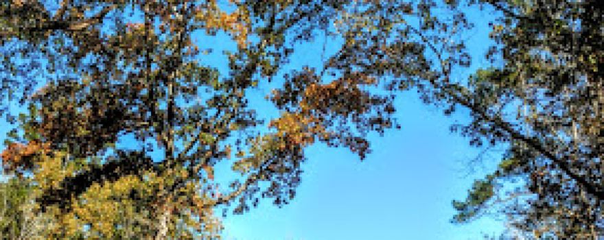 Lake Sinclair Recreation Area