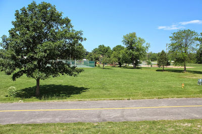 Lions Park