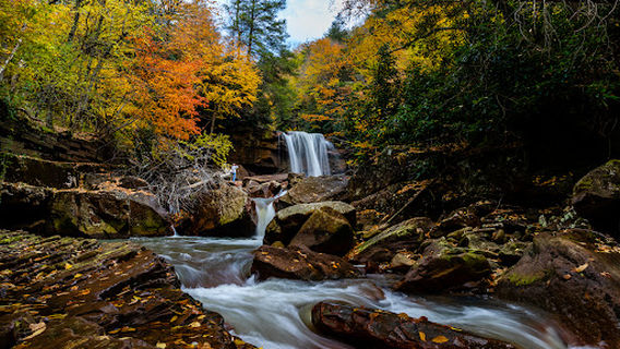 Дуглас Фолс