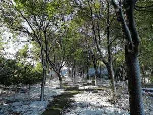 Wulong Mountain Villa