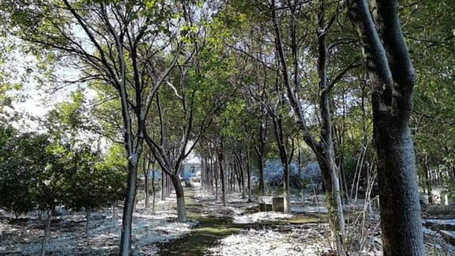 Wulong Mountain Villa