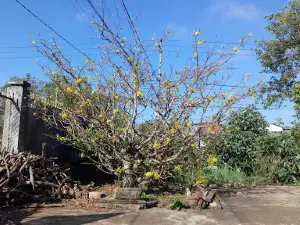 Công viên Thắng Lợi