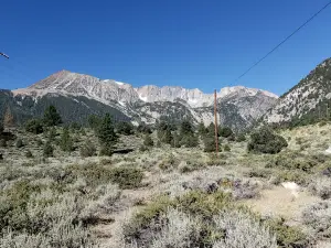 Lower Lee Vining Campground
