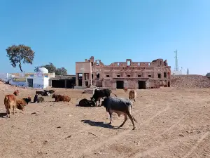 Fort Suratgarh