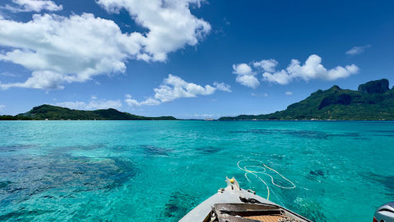 Aqua Safari Under water walk