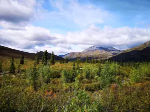 The Klondike Experience (Husky Bus)