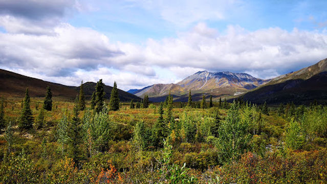The Klondike Experience (Husky Bus)
