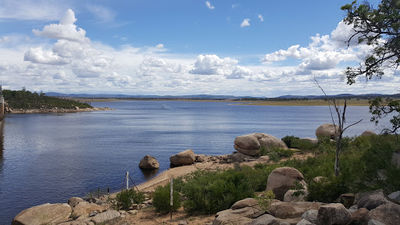 Leslie Dam - Washpool Reserve