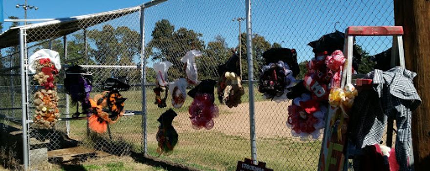 Goodman Ball Park