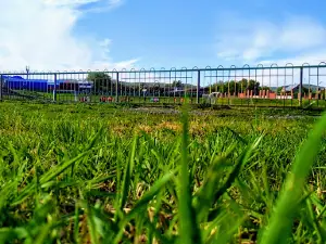 Stadion Im. D'yakova
