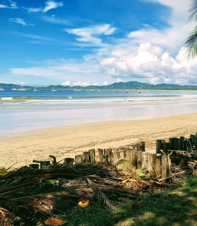 Tamarindo