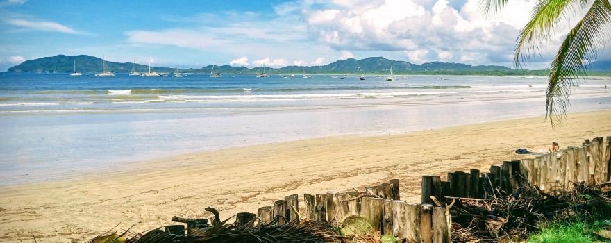 Tamarindo