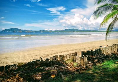 Tamarindo
