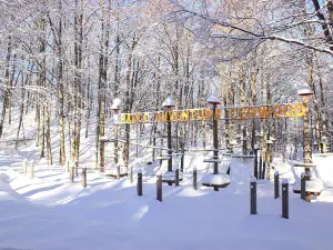Parco Avventura Cerwood