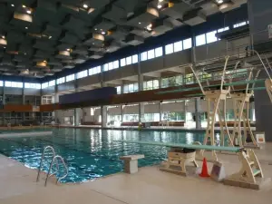 Piscine de Bréquigny