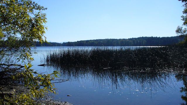 Elk/Beaver Lake Regional Park