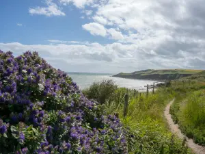 Ballycotton Cliff Walk