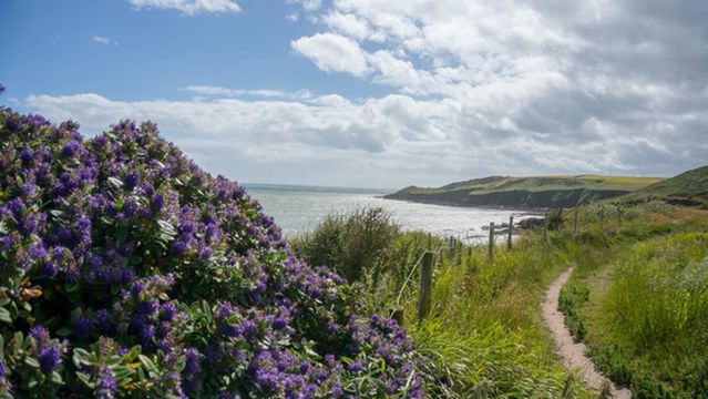 Ballycotton Cliff Walk