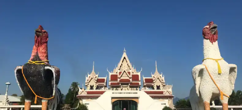 โรงแรมในอำเภอ สิชล